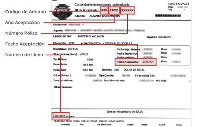 partes del DUA